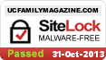 malware removal and website security